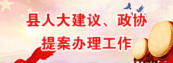 縣人大建議、政協(xié)提案辦理工作專(zhuān)題