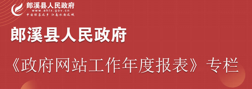 《政府網(wǎng)站工作年度報(bào)表》專(zhuān)欄